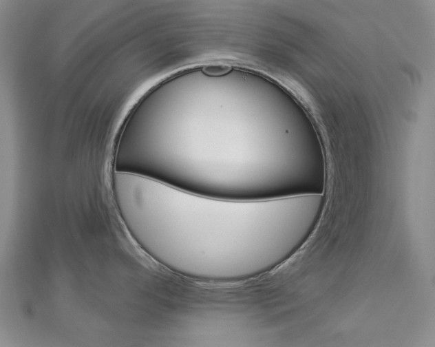 X0000112981296200908270910