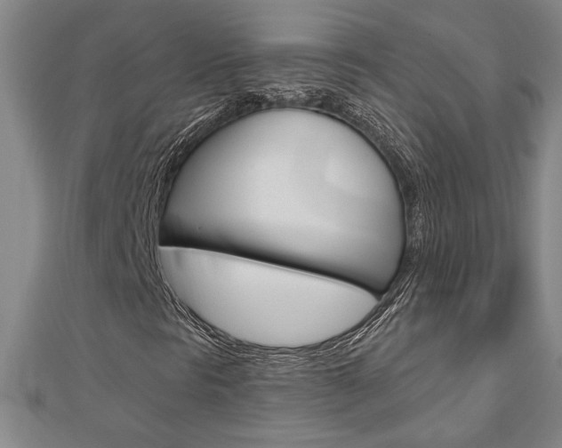 X0000112981297200908270909