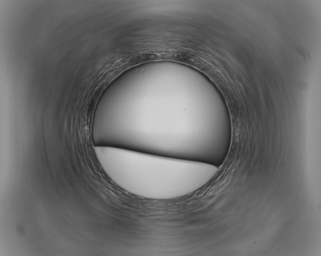 X0000112981298200908270909