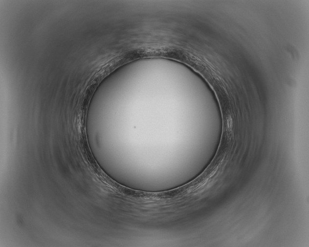 X0000112981300200908270909