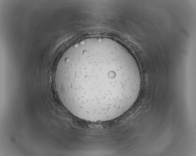 X0000112981302200908270910