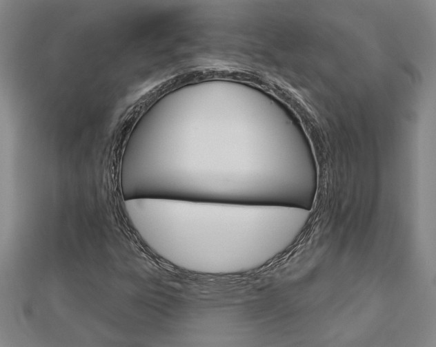 X0000112981303200908270910