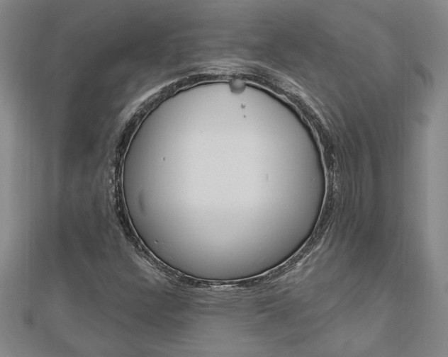 X0000112981304200908270910