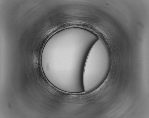 X0000112981305200908270910