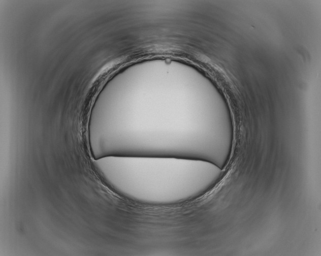 X0000112981306200908270910