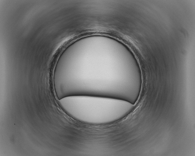 X0000112981307200908270910
