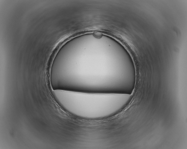 X0000112981308200908270910