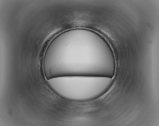 X0000112981309200908270910