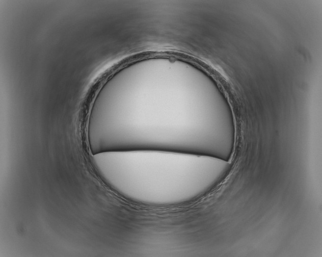 X0000112981311200908270910