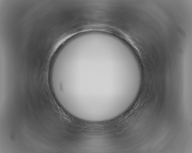 X0000112981312200908270910
