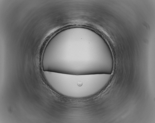 X0000112981315200908270910