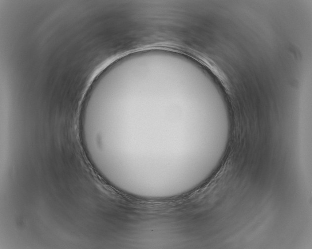 X0000112981316200908270910