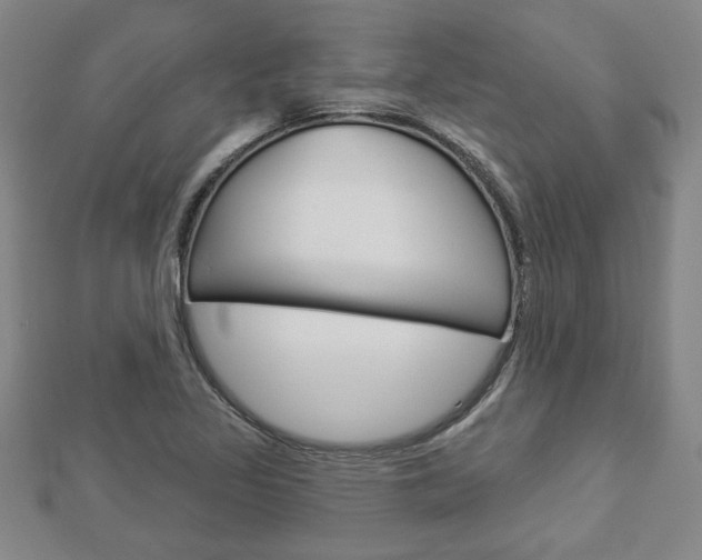 X0000112981317200908270910