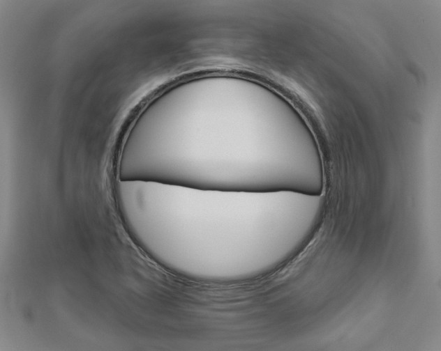 X0000112981318200908270910
