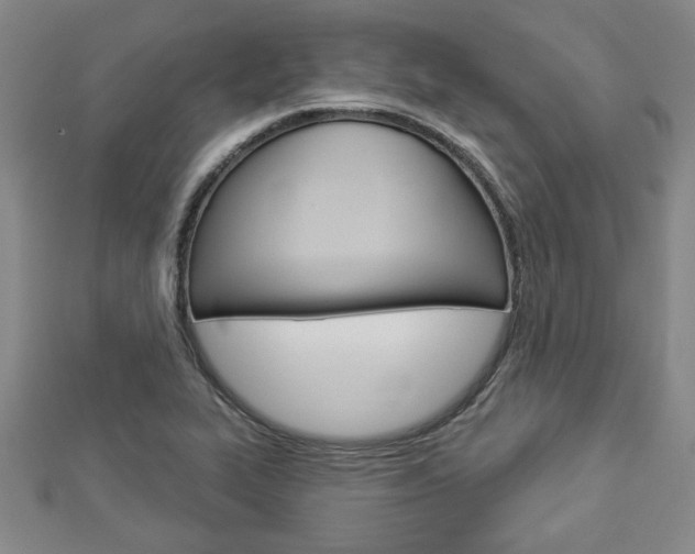 X0000112981319200908270910