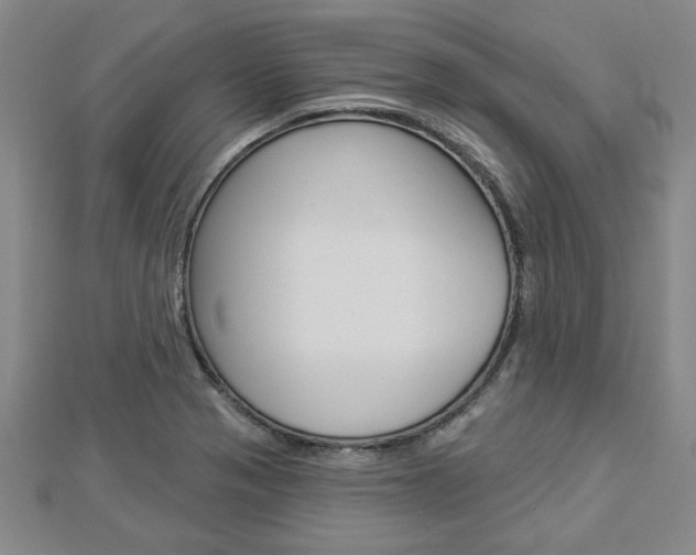 X0000112981321200908270910