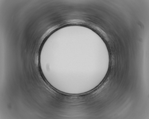 X0000112981322200908270910