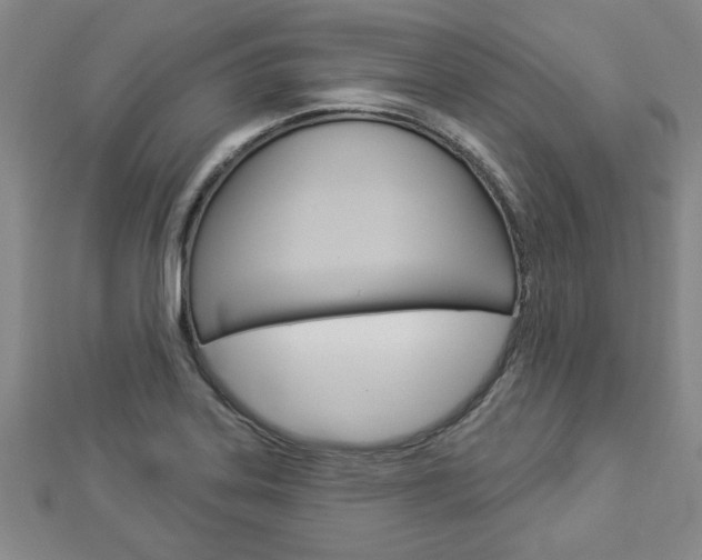 X0000112981323200908270910