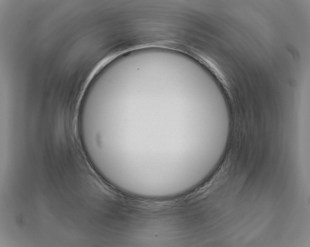 X0000112981324200908270910
