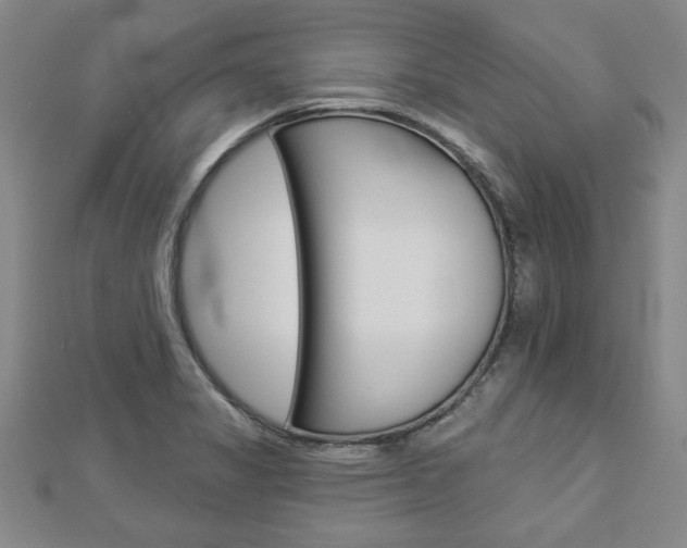 X0000112981325200908270910