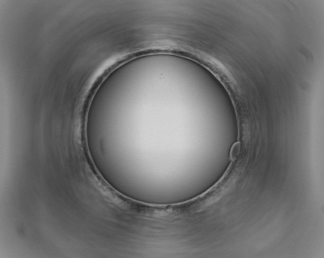 X0000112981326200908270910
