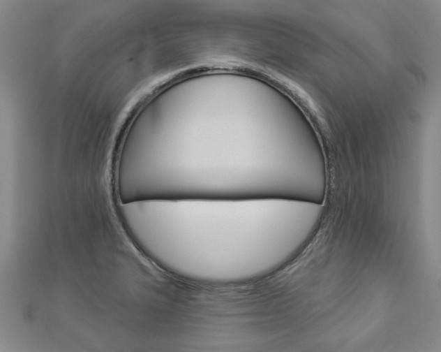 X0000112981327200908270910