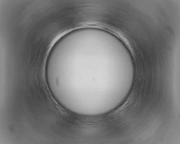X0000112981328200908270910
