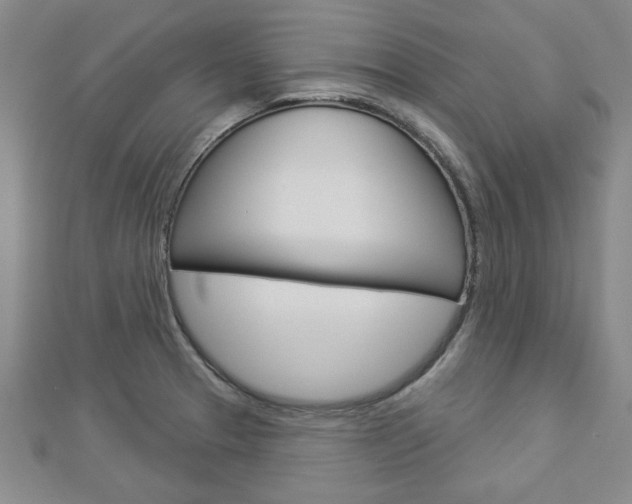 X0000112981329200908270910