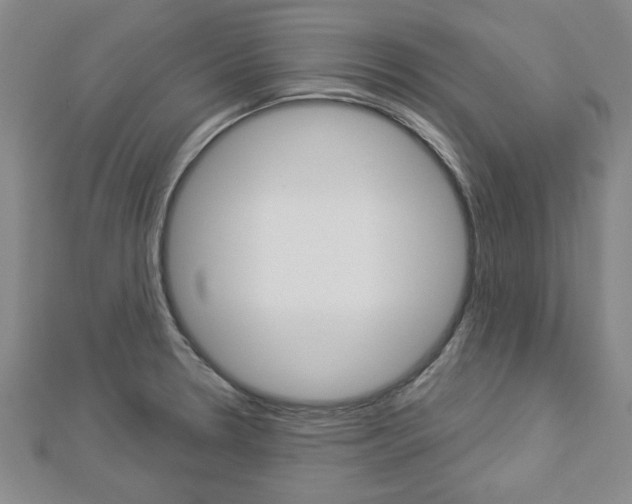 X0000112981330200908270910