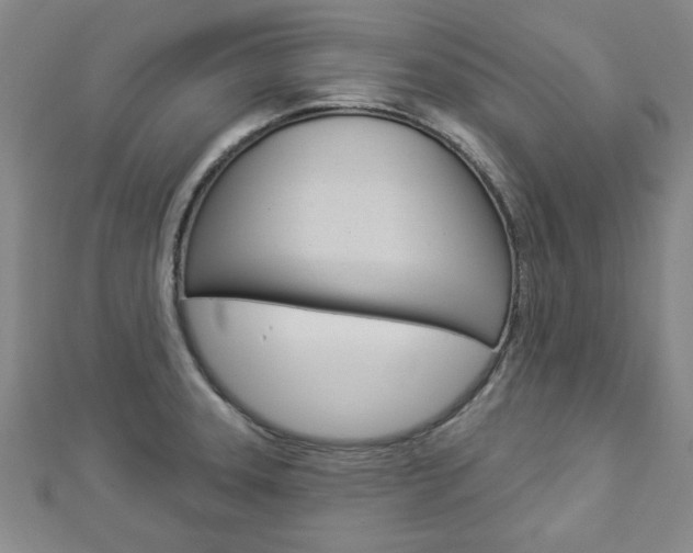 X0000112981331200908270910