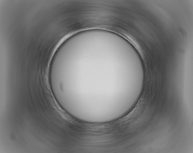 X0000112981332200908270910