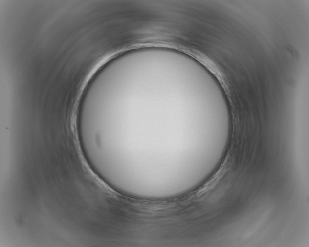 X0000112981334200908270910