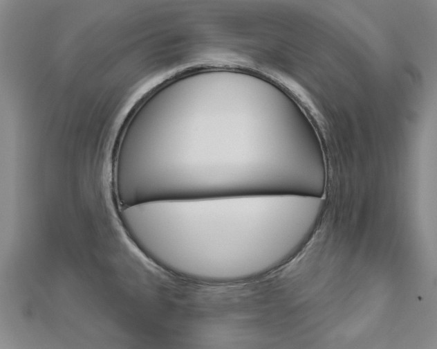 X0000112981335200908270910