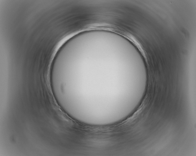 X0000112981336200908270910