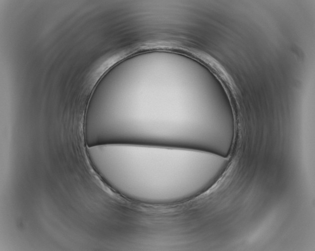 X0000112981337200908270910