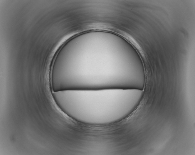 X0000112981339200908270910