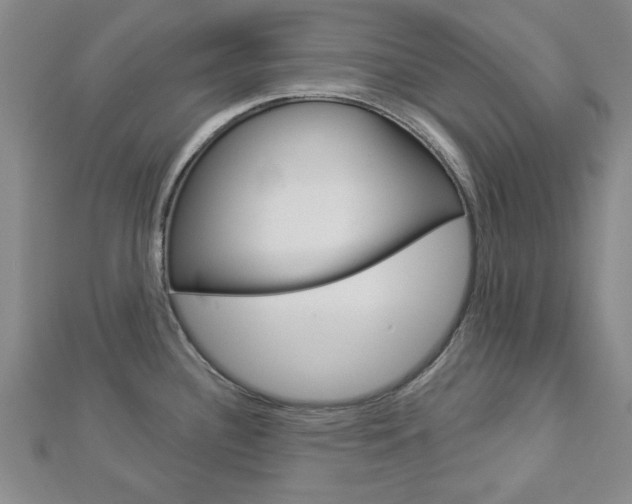 X0000112981340200908270910