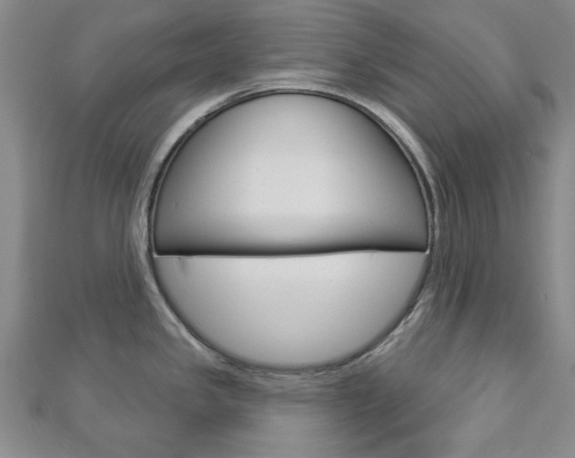X0000112981341200908270910