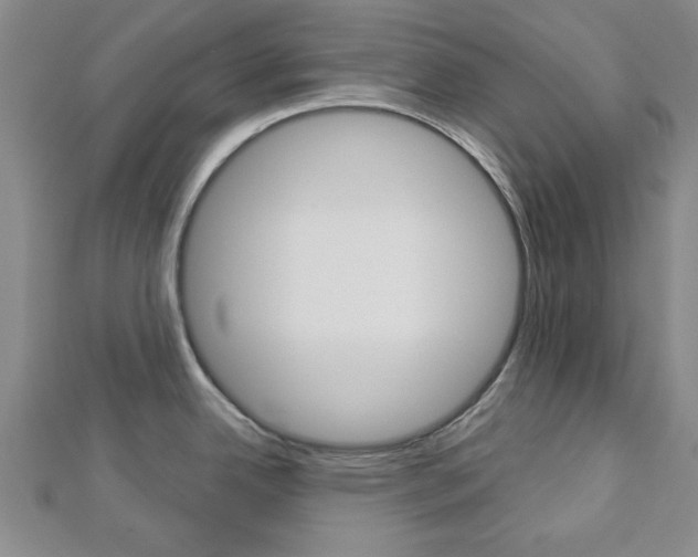 X0000112981342200908270910