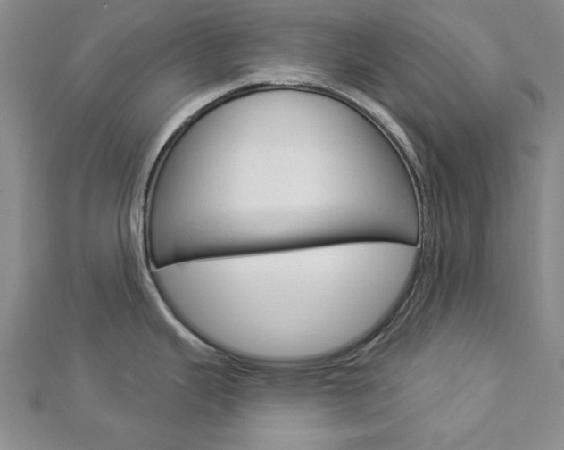 X0000112981343200908270910