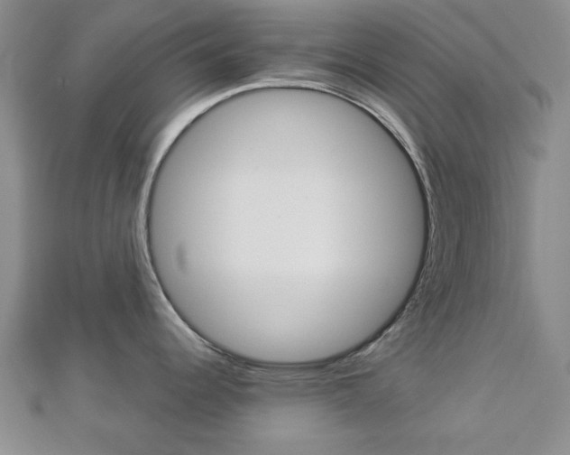 X0000112981344200908270910