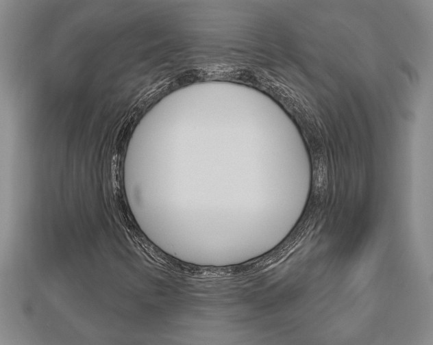 X0000112981346200908270909