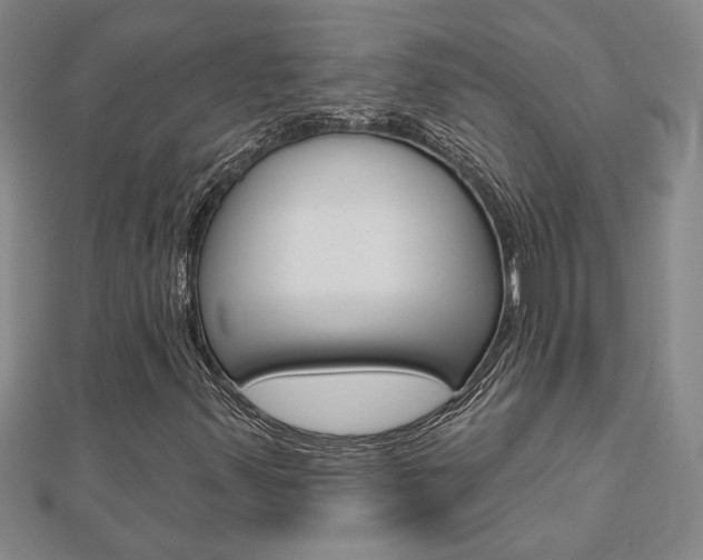 X0000112981347200908270909