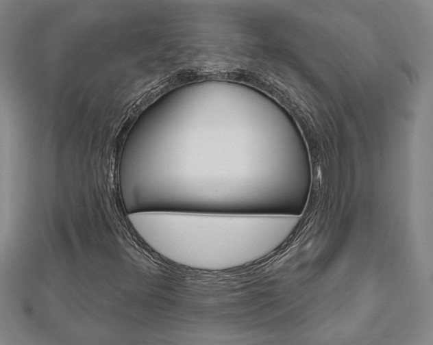 X0000112981348200908270909