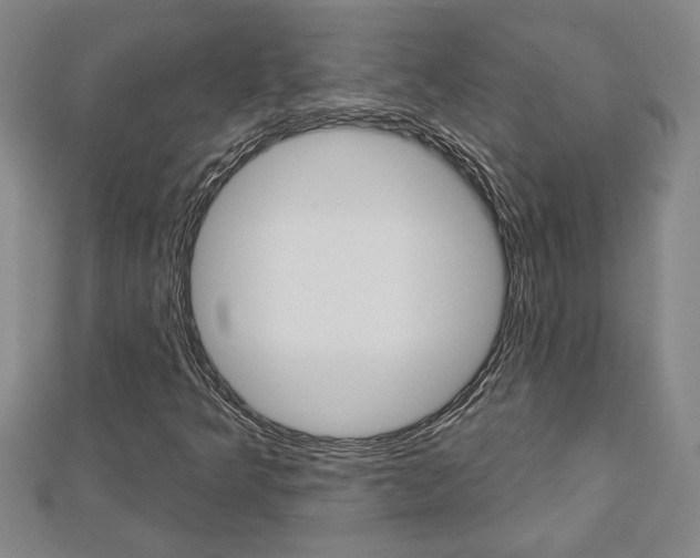 X0000112981349200908270909