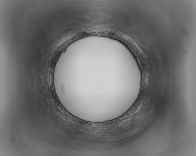 X0000112981350200908270909
