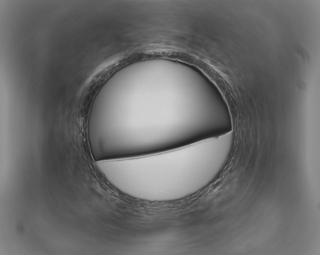 X0000112981351200908270909