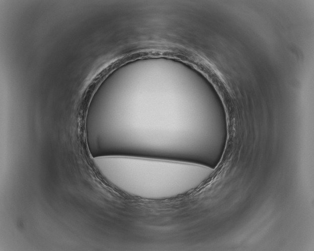 X0000112981352200908270909