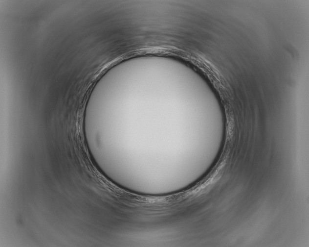 X0000112981353200908270909