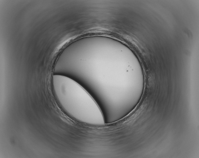X0000112981355200908270909